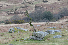 Dartmoor