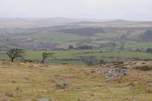 Dartmoor