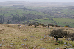 Dartmoor