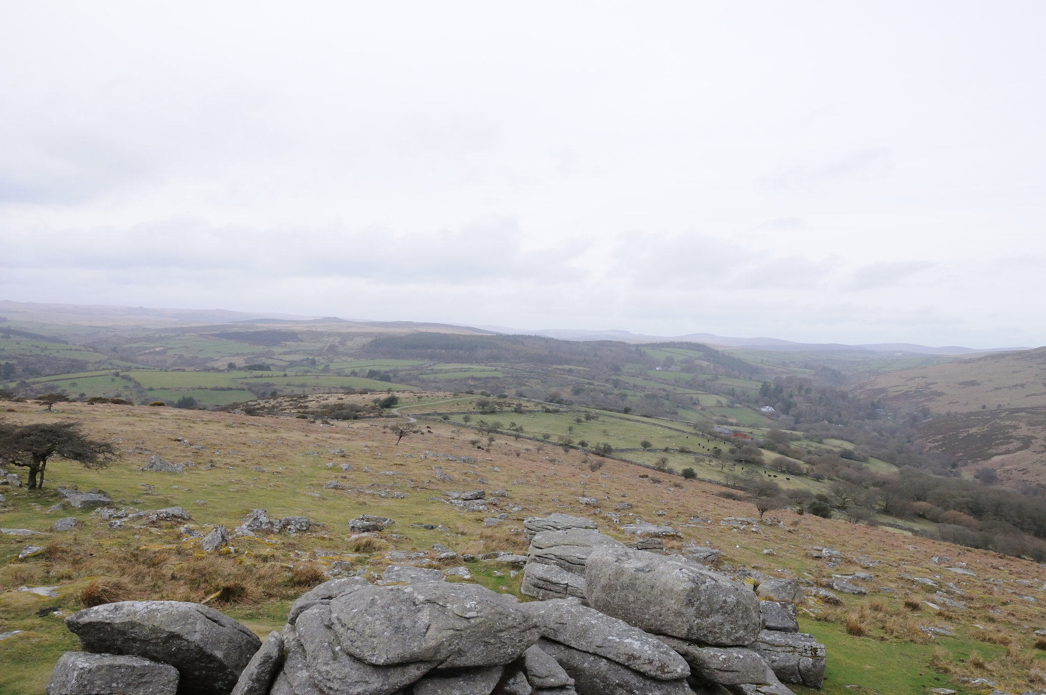 Dartmoor