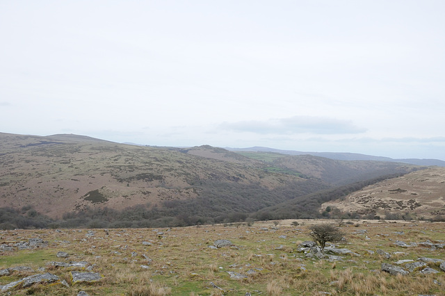 Dartmoor