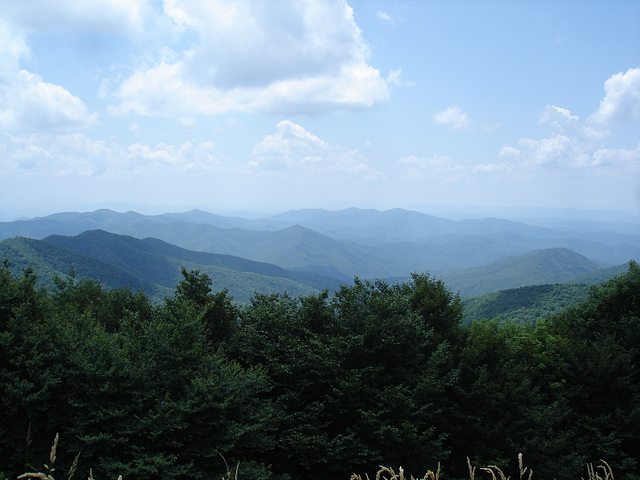 Asheville, North Carolina (NC). USA / 14 juillet 2010.