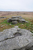 Dartmoor