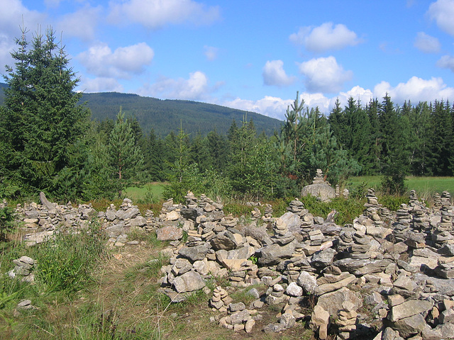 montaro Šumava - survoje al Lago de Prášily