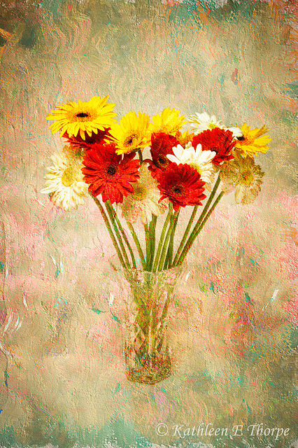 Gerbera Daisies with Chris Buscaglia Lenz Texture