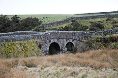 Dartmoor