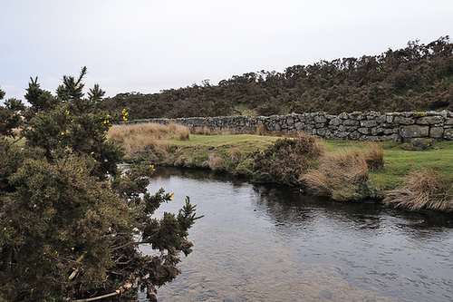 Dartmoor