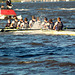 Hanse Boat Race 2011  Bild 55