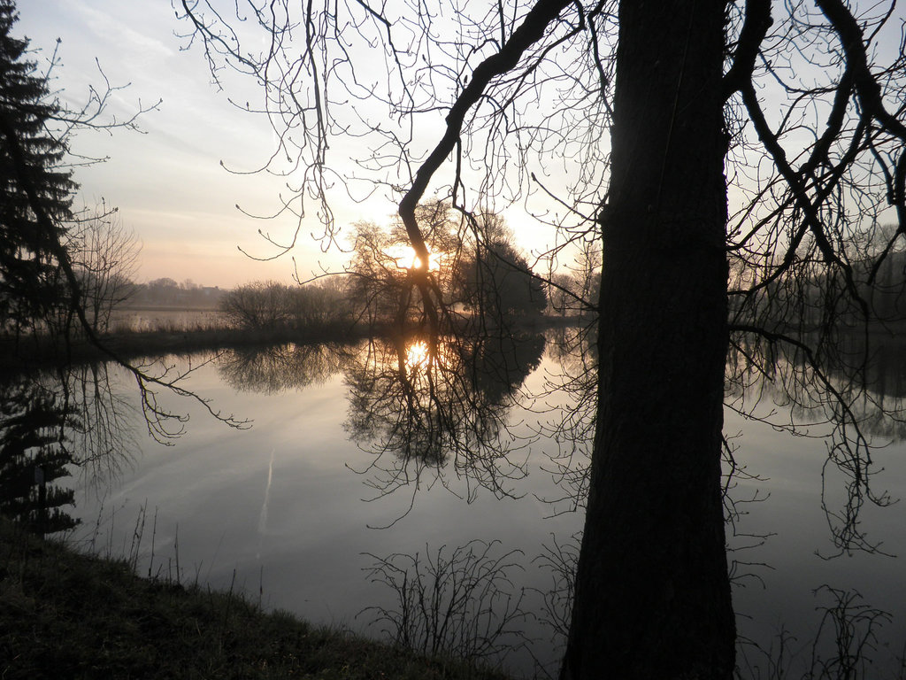 Morgenidylle