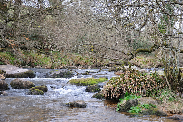 Dartmoor