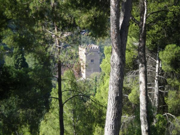 Silla del Moro la Alhambra Granada