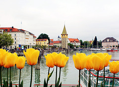 Lindau am Bodensee