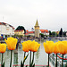 Lindau am Bodensee