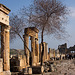 20110301 0110RAw [TR] Hierapolis