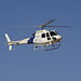 Department of Homeland Security Eurocopter AS350 N4043L