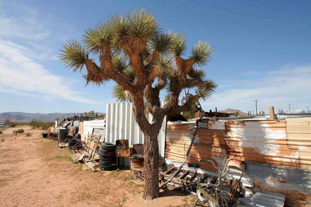 Noah Purifoy Outdoor Desert Art Museum (9918)