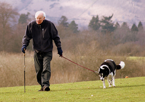 Man and dog