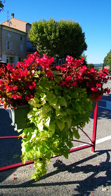 bacs à fleurs