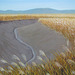 a Landscape with Small Channel of Tidewater 2 = Pejzagxo kun Marakva Flueto 2_oil on canvas=olee sur tolo_33.3x45.5cm(8p)_2011_HO Song