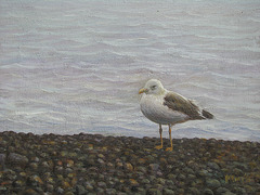 a Coast Landscape with a Sea Bird=Apudmara Pejzagxo kun Birdo_oil on canvas=olee sur tolo_32x41cm(6f)_2011_HO Song
