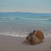 a Coast Landscape with a Conch=Apudmara Pejzagxo kun Konko_oil on canvas=olee sur tolo_32x41cm(6f)_2011_HO Song