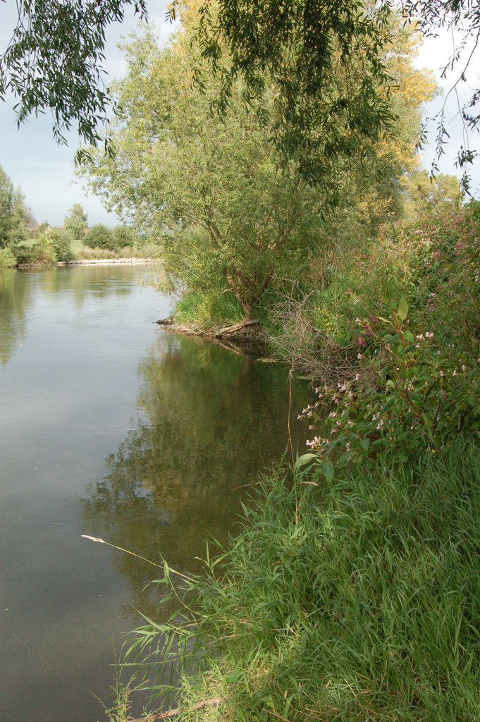 rivero  (pramo)