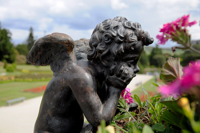 Powerscourt Gardens