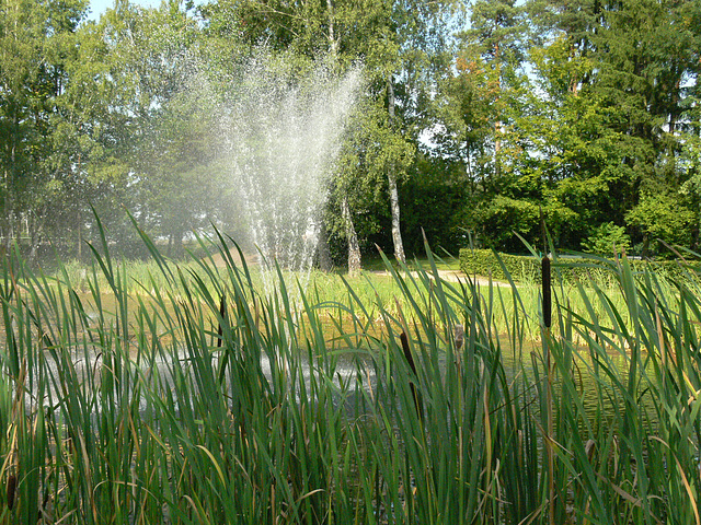 Teich am Stadtgarten