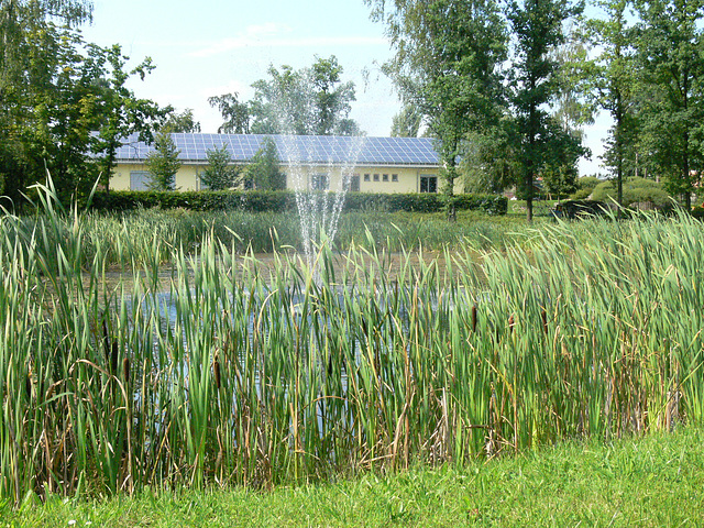 Blick zum Kindergarten