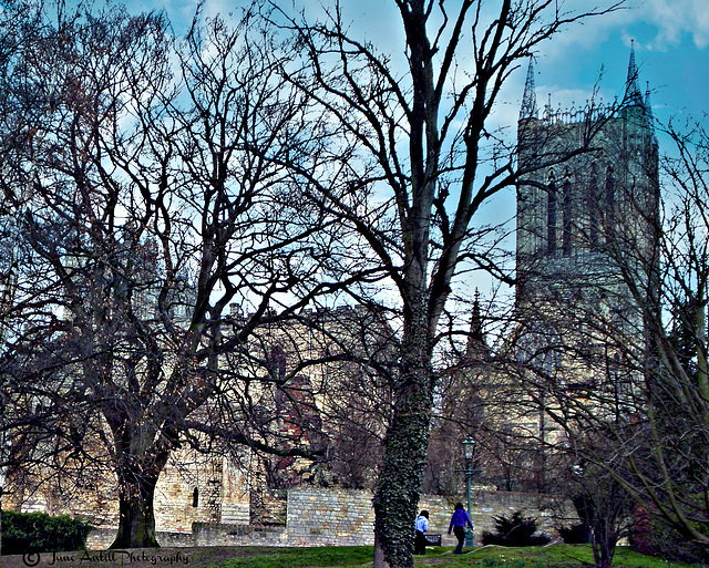 Lincoln Catherdral