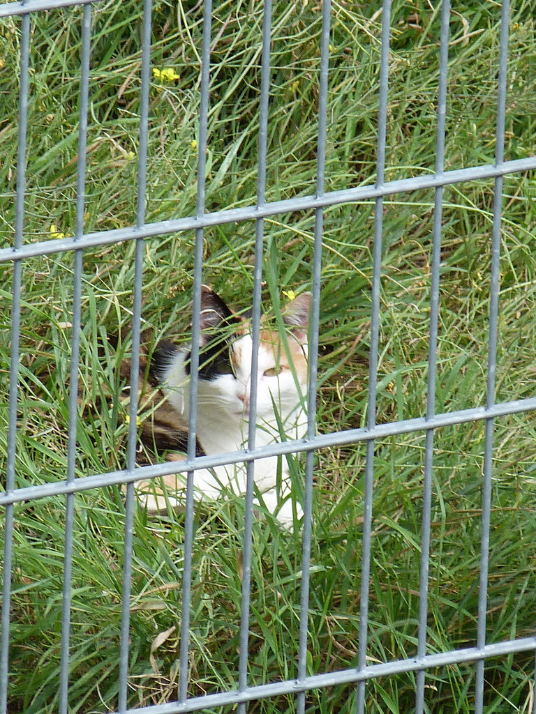 Hinter Gittern