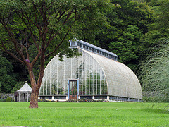 IMG 1798 Muckross-House-Park