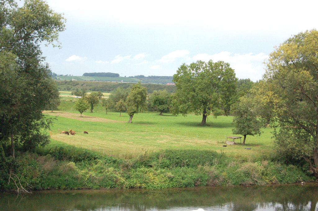 kamparo (pramo)