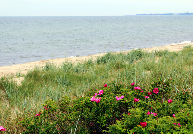 Ostsee in Südschweden