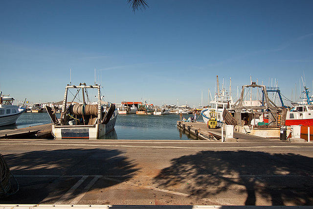 20110529 4043RWw [F] Hafen, Le Grau du Roi, Camargue