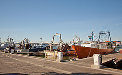 20110529 4042RWw [F] Hafen, Le Grau du Roi, Camargue