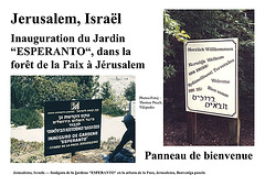 ZEO2012 49 IL-Jerusalemo
