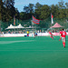 Feldhockey Halbfinale Rückspiel  Bild 001