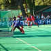 Feldhockey Halbfinale Rückspiel  Bild 019