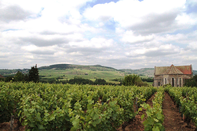 Cheilly-Lès-Maranges - Eglise