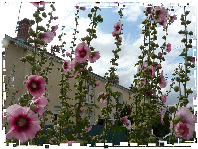 P1240406 &