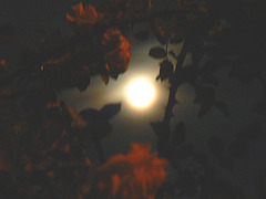 Mondnacht 2011-06-14