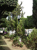 Ixtapan de la sal, Mexico DF / Mejico - 4 avril 2011.
