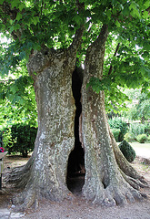 Château Philippe le Hardy - Santenay