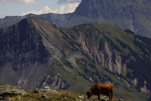 Du col de la Croix de Fer (Savoie)