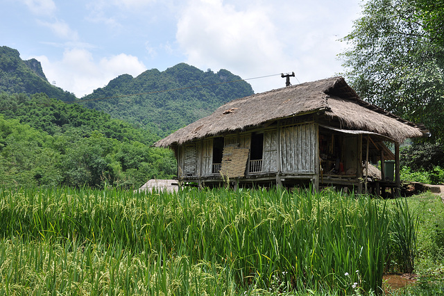 VILLAGE DES  MUONG VIETNAM