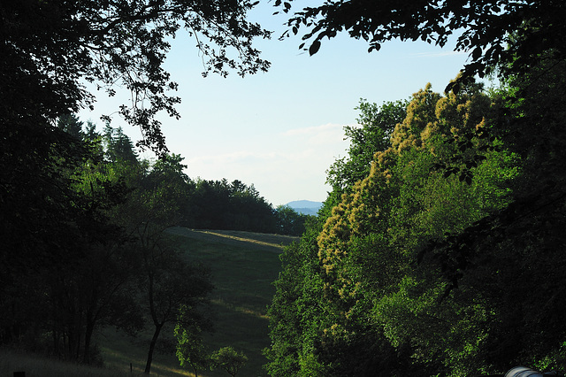 Odenwald