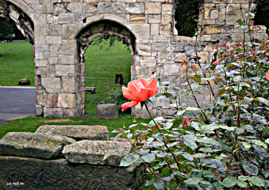 Ruins of St Mary's Abbey, York