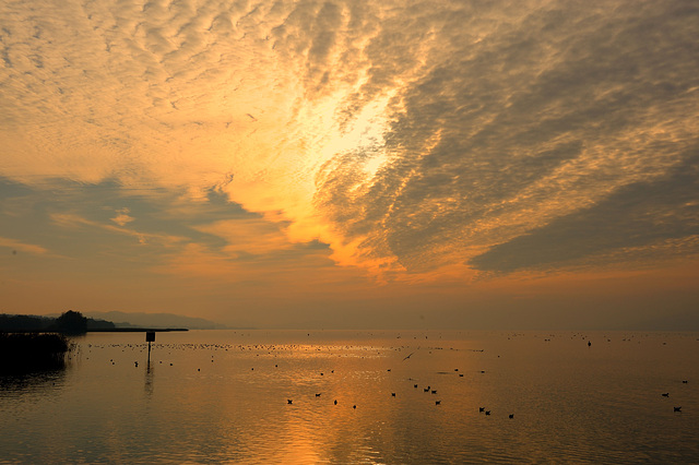 Un soir au bord du lac