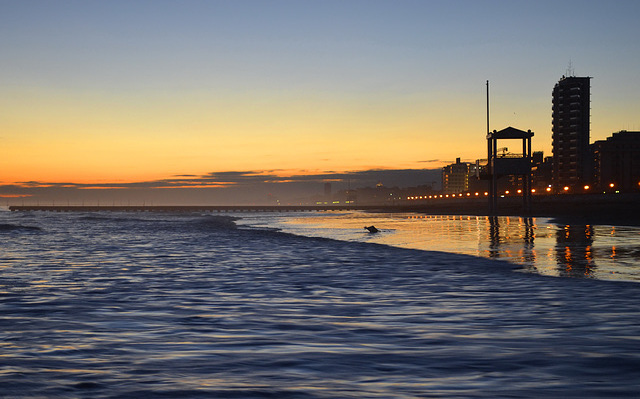 #8 Jesolo Lido - CWP - Contest Without Prize